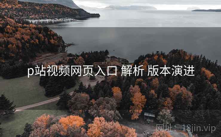 p站视频网页入口 解析 版本演进