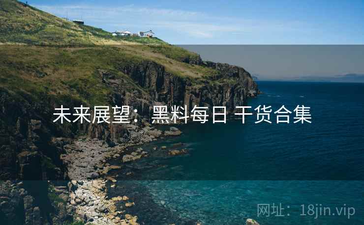 未来展望：黑料每日 干货合集