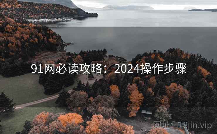 91网必读攻略：2024操作步骤