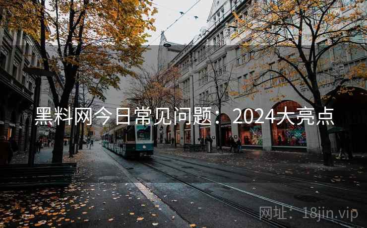 黑料网今日常见问题:2024大亮点