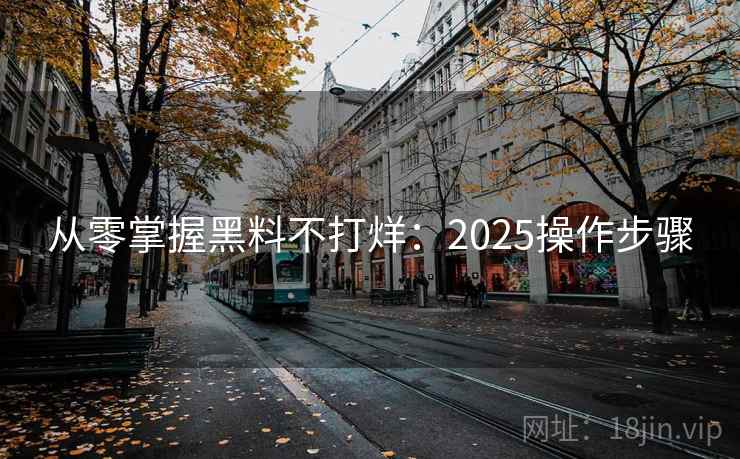 从零掌握黑料不打烊:2025操作步骤