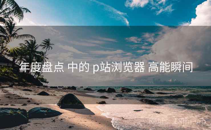 年度盘点 中的 p站浏览器 高能瞬间